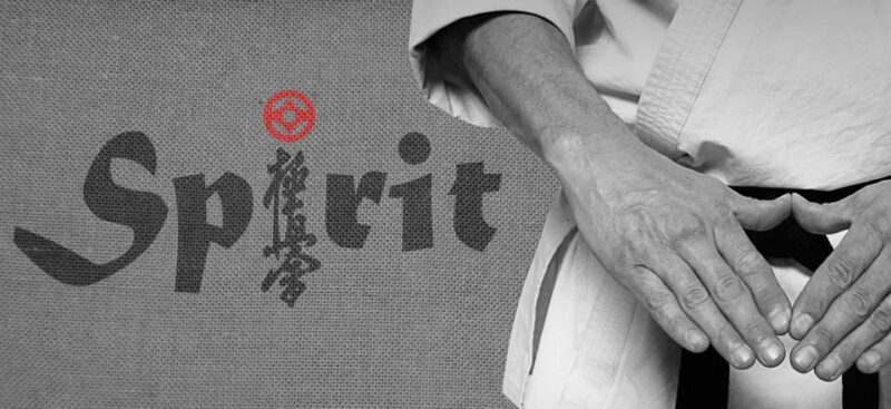 Kyokushin Spirit Karate Vereniging